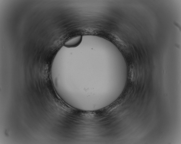 X0000092210318200710121134