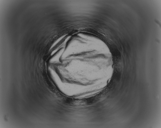 X0000092210319200710121134