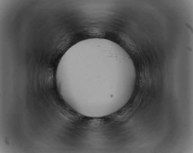 X0000092210320200710121134