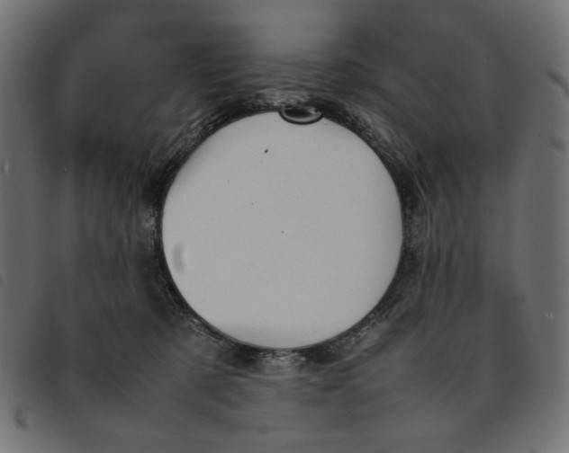 X0000092210321200710121134