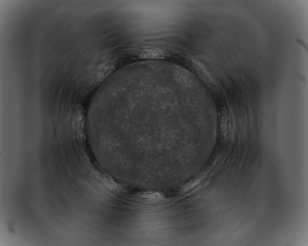 X0000092210322200710121134