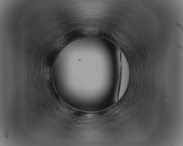 X0000092210323200710121134