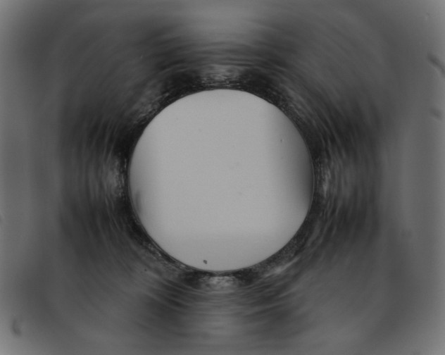 X0000092210324200710121134
