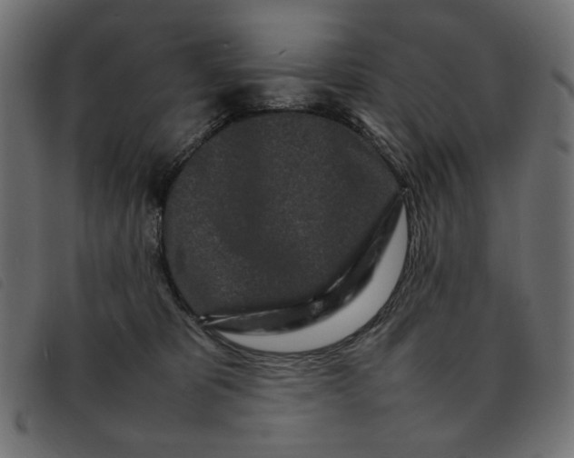 X0000092210325200710121134