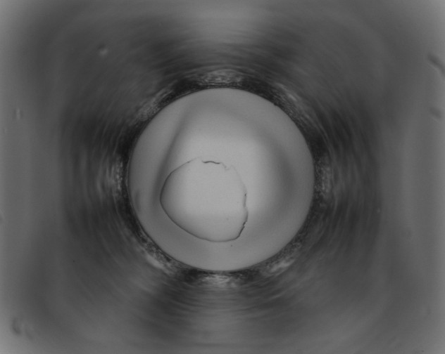 X0000092210326200710121134