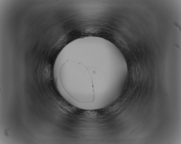 X0000092210328200710121134