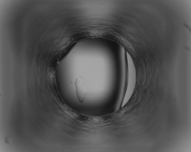 X0000092210329200710121134