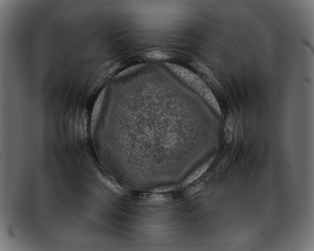 X0000092210330200710121134