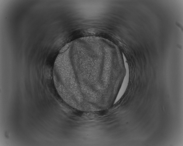 X0000092210331200710121134