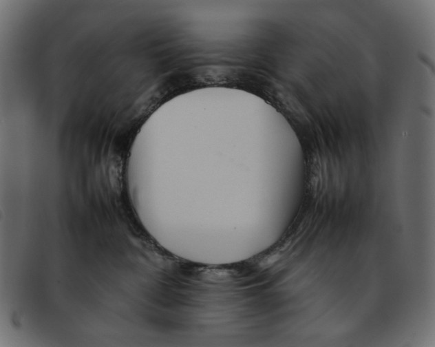 X0000092210332200710121134