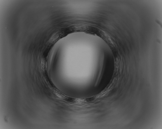 X0000092210333200710121134