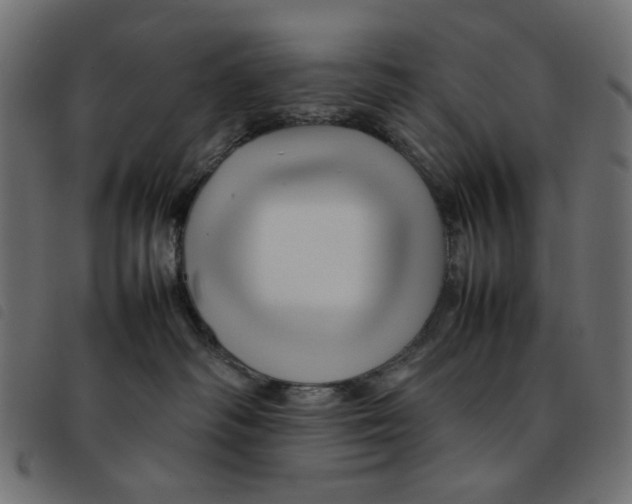 X0000092210334200710121134