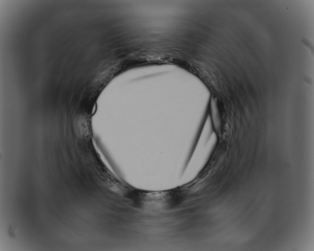 X0000092210335200710121134