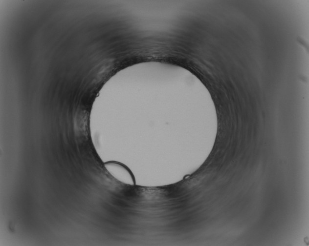 X0000092210336200710121134