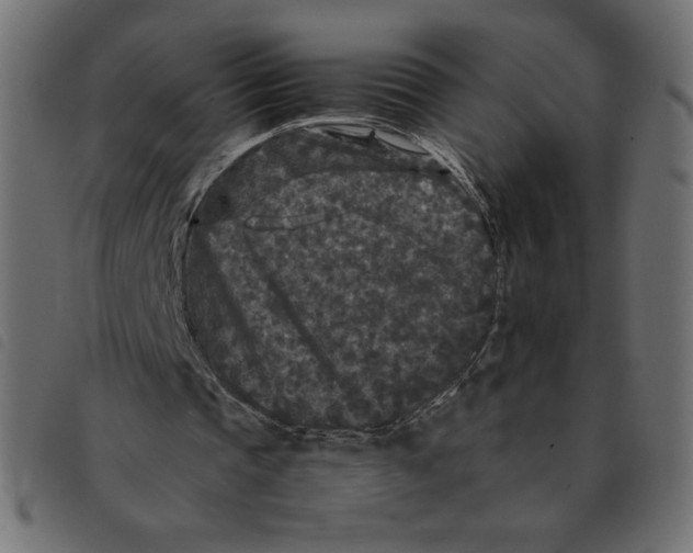 X0000092210337200710121133