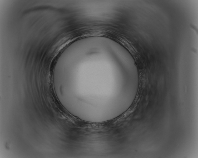 X0000092210338200710121133