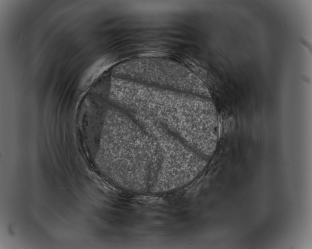 X0000092210339200710121133