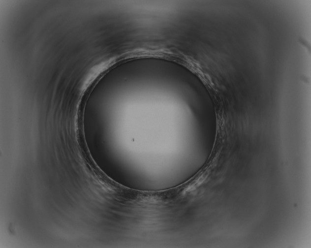 X0000092210340200710121133