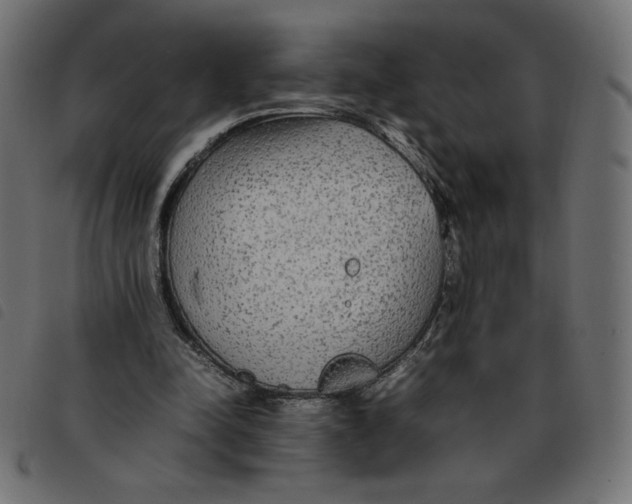 X0000092210342200710121133