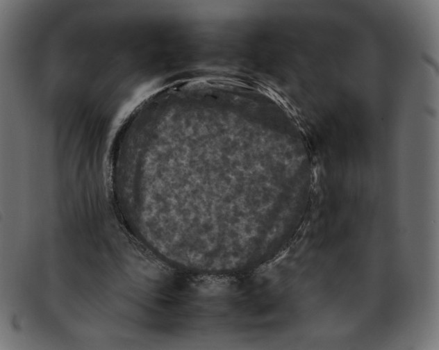 X0000092210343200710121133