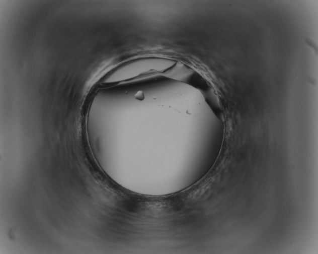 X0000092210344200710121133