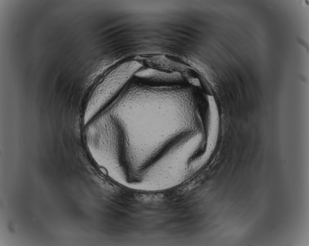 X0000092210345200710121133