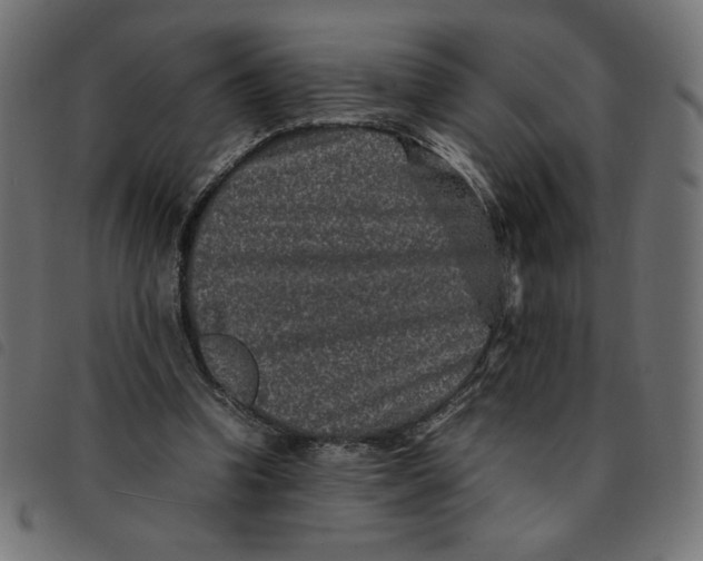 X0000092210346200710121133