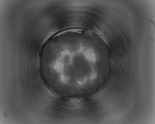 X0000092210347200710121133