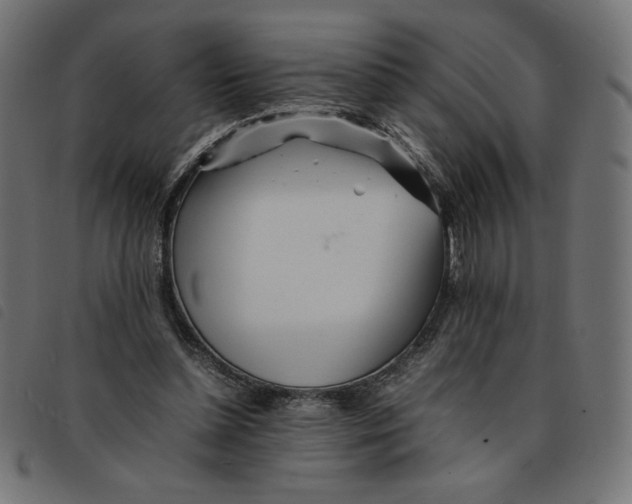 X0000092210348200710121133