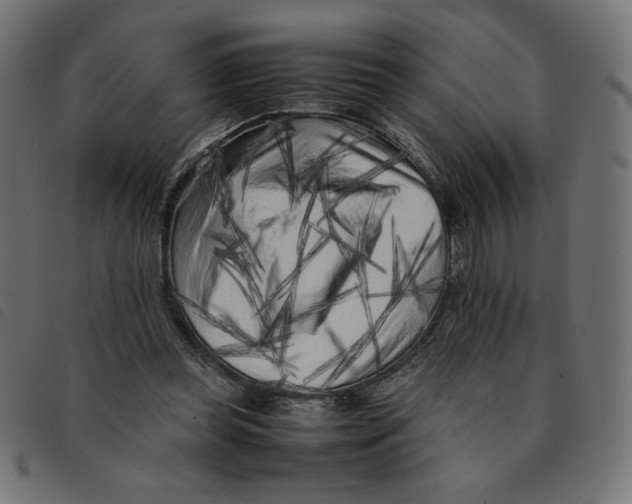 X0000092210349200710121133