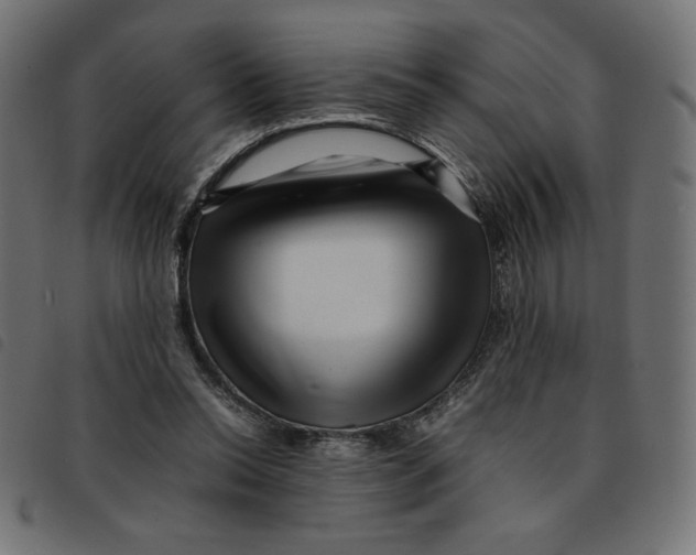 X0000092210350200710121133