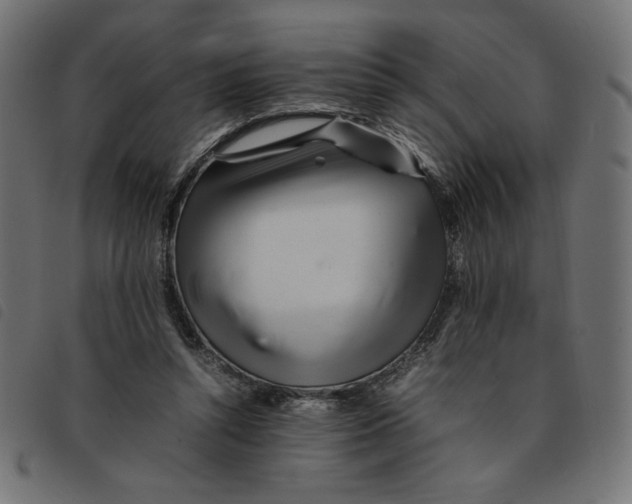 X0000092210352200710121134