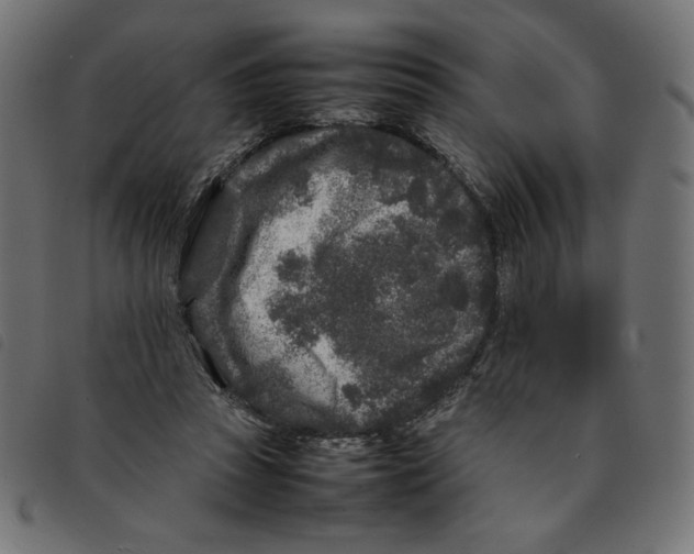X0000092210353200710121134