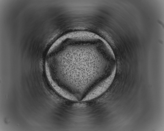 X0000092210354200710121134