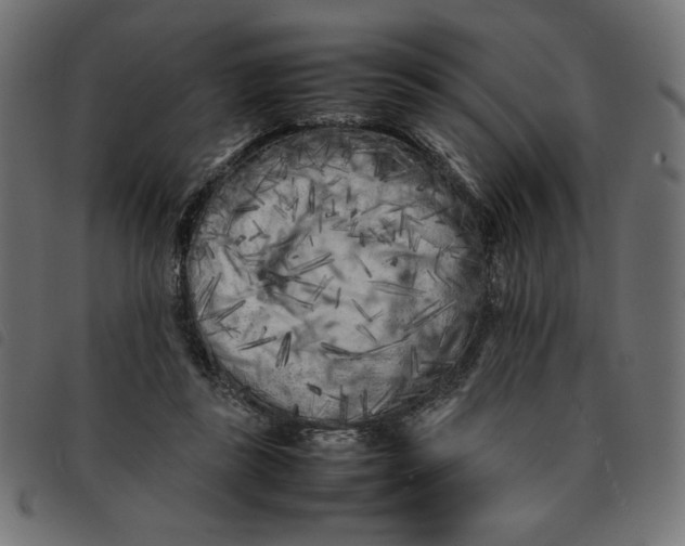 X0000092210355200710121134