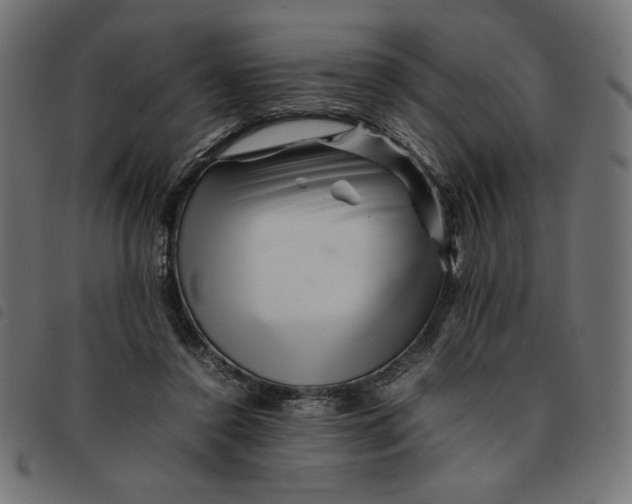 X0000092210356200710121134