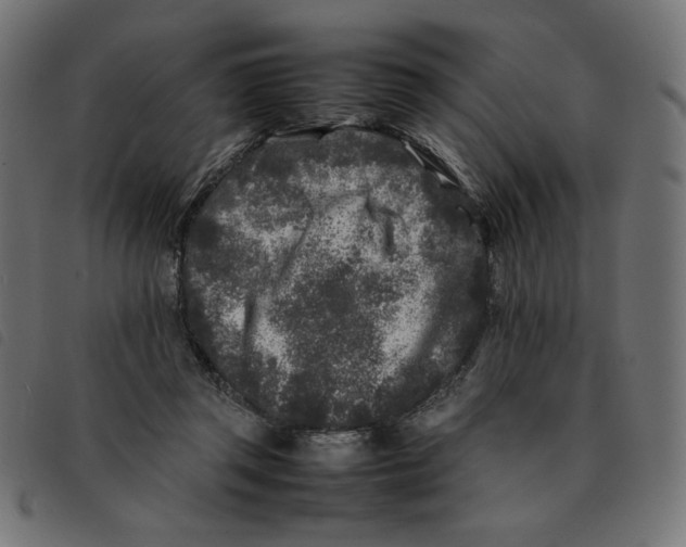 X0000092210357200710121134