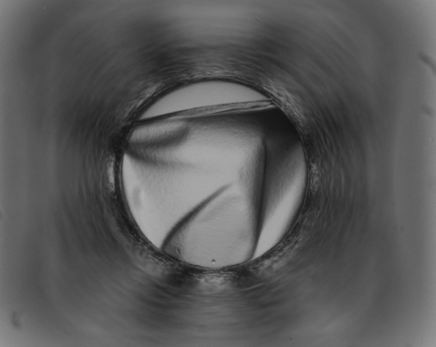 X0000092210358200710121134