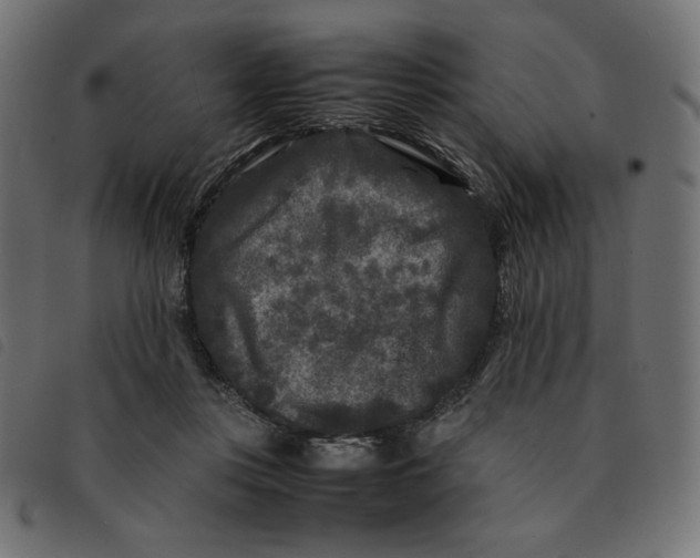 X0000092210359200710121134