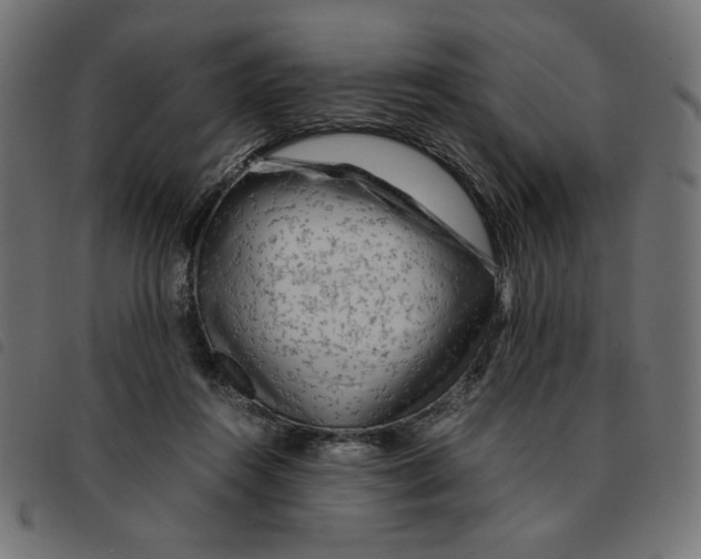 X0000092210360200710121134