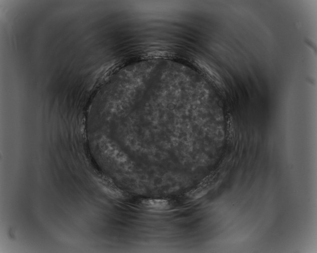 X0000092210361200710121134