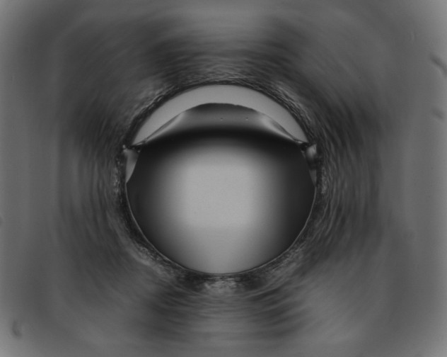 X0000092210362200710121134
