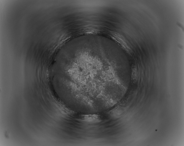 X0000092210363200710121134