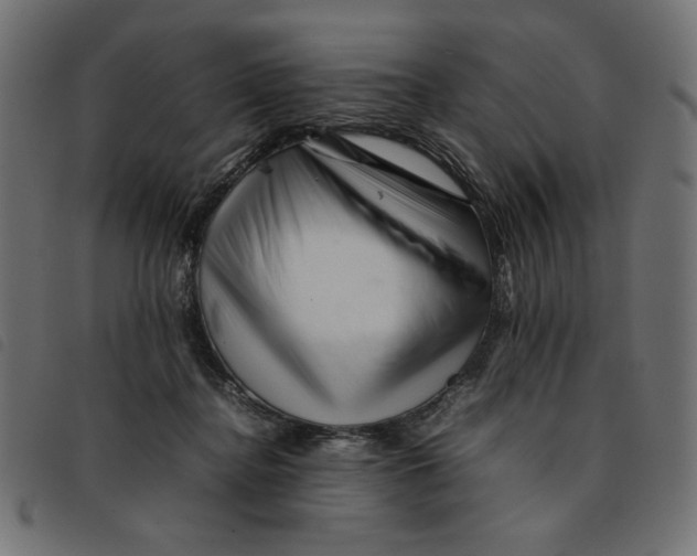 X0000092210364200710121134