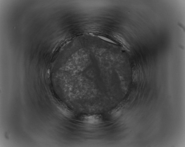 X0000092210365200710121134