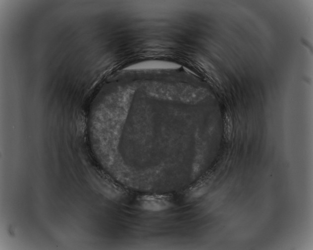 X0000092210367200710121134