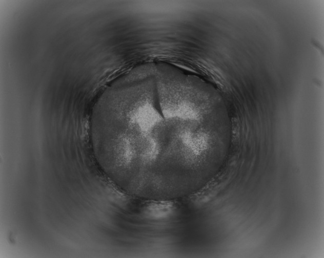 X0000092210369200710121134
