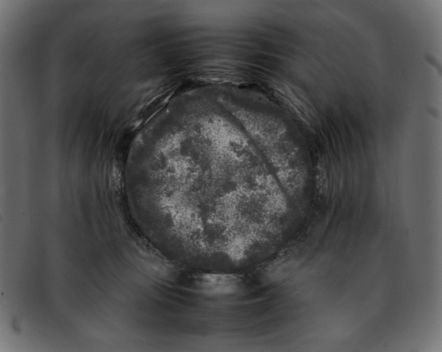 X0000092210371200710121134