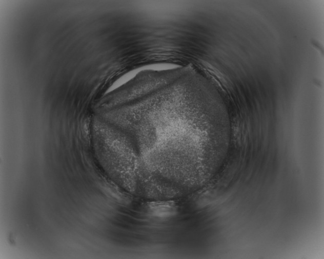 X0000092210373200710121134