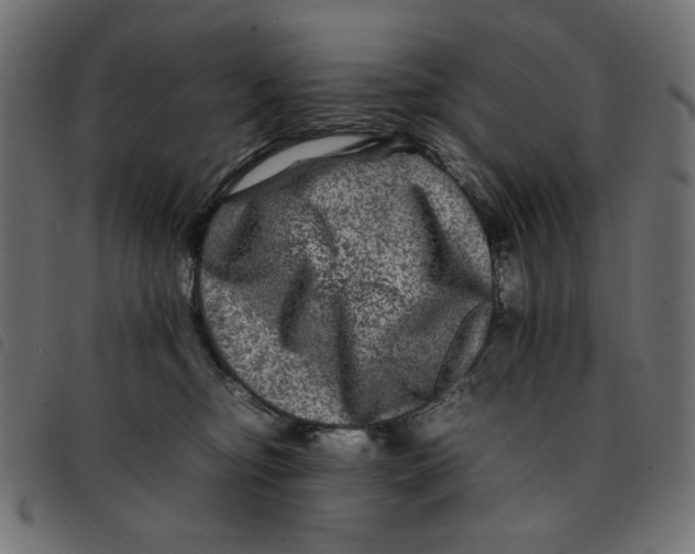 X0000092210374200710121134
